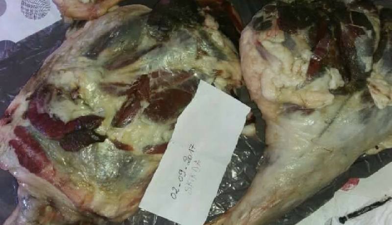 بوعزقي: “600 حالة أضاحي متعفنة”
