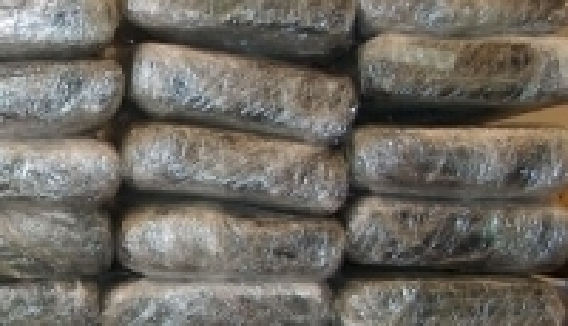 الجزائر حجز أزيد من 74 طن من القنب