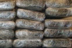 حجز 39 كلغ من الكيف المعالج قذفتها أمواج البحر بعين تموشنت