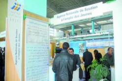 الشروع في منح القروض المصغرة الجديدة نهاية أفريل الجاري