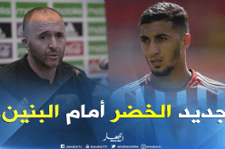 “الفاف” تكشف قيام “بلماضي” بمُعاينة “بن رحمة”