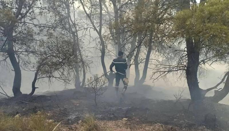 تبسة: تواصل عملية إخماد حريق غابة جبل العاطف