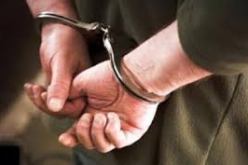 توقيف إرهابي بالوادي ينتمي إلى مجموعة إرهابية تنشط خارج الوطن