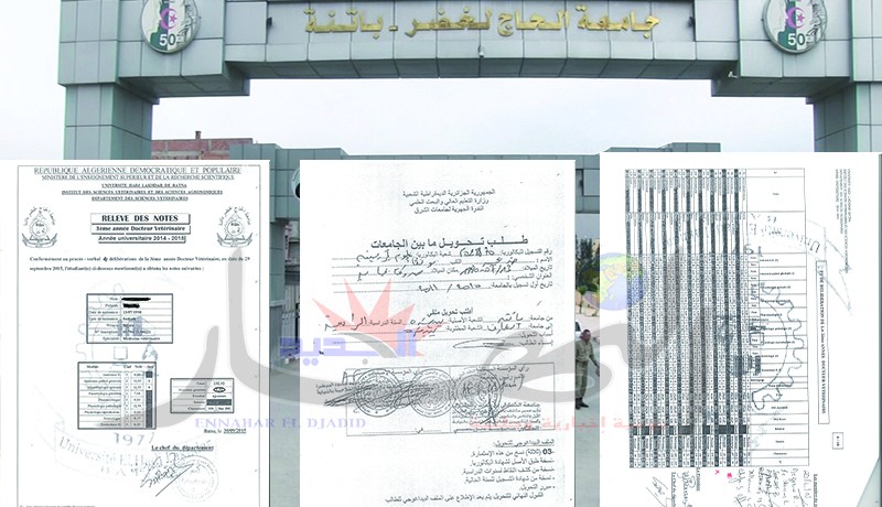 نجاح طالبة راسبة بقسم البيطـرة بجامعة باتنة 1