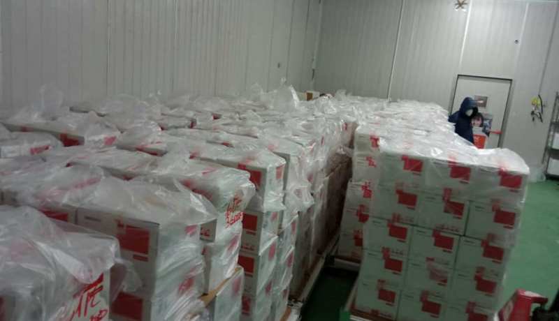 أكثر من مليونين جرعة من اللقاح الصيني تصل الجزائر