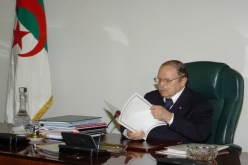 10سنوات فقط لرؤساء الجزائر والأمازيعية لغة رسمية