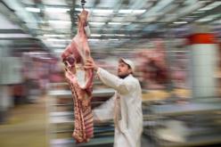 وزارة الفلاحة تعوض المربّين المتضرّرين من وباء الحمى القلاعية في حال تعاونهم وإلّا…