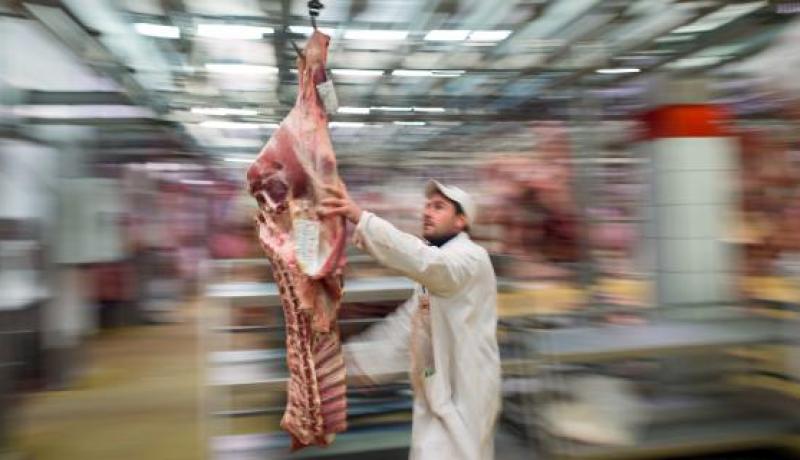 وزارة الفلاحة تعوض المربّين المتضرّرين من وباء الحمى القلاعية في حال تعاونهم وإلّا…