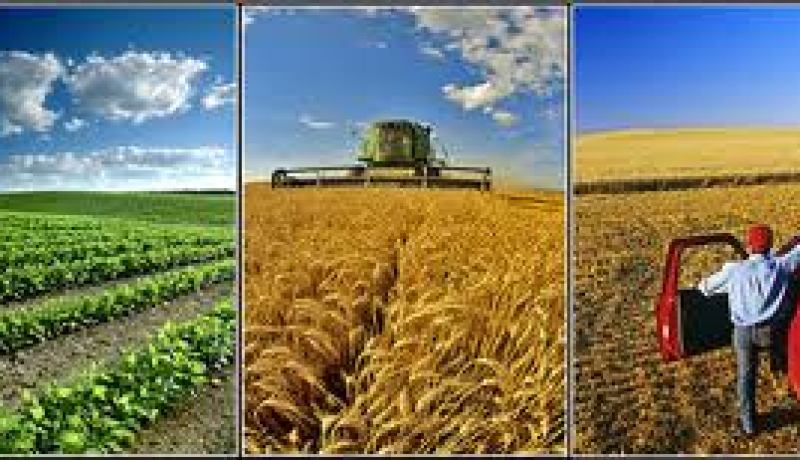 استمرار ارتفاع أسعار المنتوجات الفلاحية خلال شهر نوفمبر