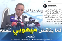 عز الدين ميهوبي.. وزير التصريحات المتناقضة