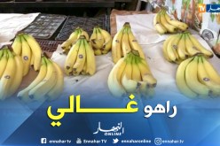 الموز يفقد بريقه .. بين الندرة وغلاء الأسعار