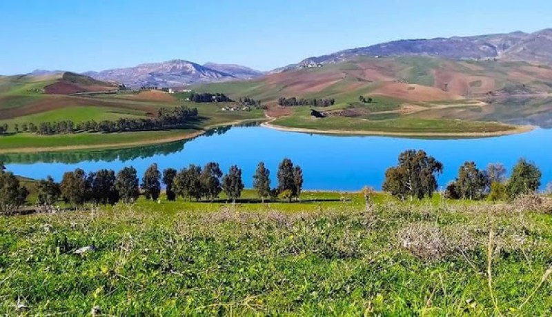 سوق أهراس: تواصل البحث عن غريق في سد عين الدالية لليوم الرابع
