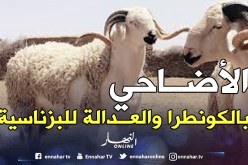 بيع الأضاحي بـ«الكونطرا» والعدالة لـ«البزناسية»