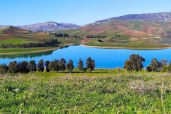 سوق أهراس: الحماية المدنية تواصل البحث عن غريق مفقود في سد عين الدالية