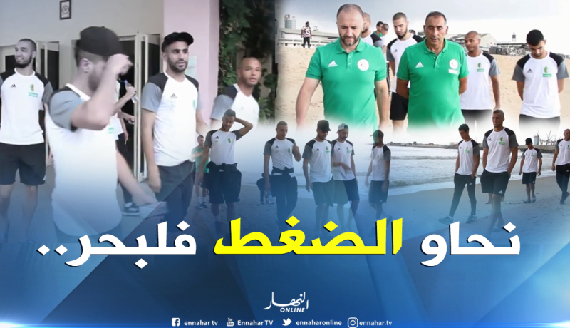 بالفيديو.. “الخضر” يتجولون على ضفاف المُحيط!