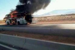 بالصور…نجاة مسافرين بأعجوبة في حادث احتراق حافلة بالنعامة