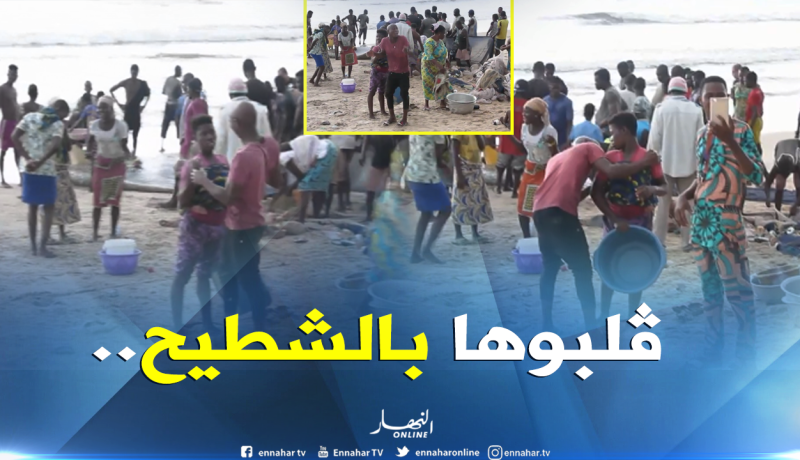 بالفيديو.. “صيادو” البنين يرقصون على الشاطىء تحت أنظار “الخضر”