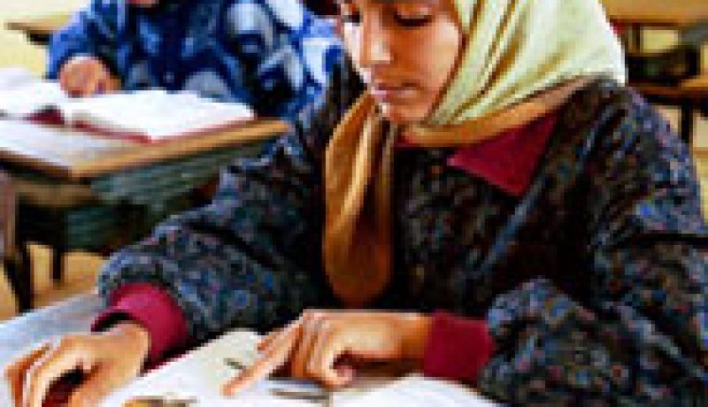 الجزائر تخصص 50 مليار دينار لتجسيد استراتيجية محو الأمية