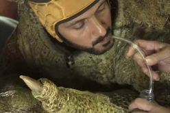 ما حقيقة المشروب الذي يتناوله رامز جلال في برنامجه