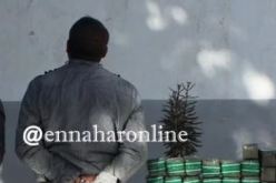 توقيف شخص وحجز قرابة 4 كلغ “زطلة” في بشار