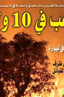 النسخة المصورة لليوم 8 نوفمبر 2020