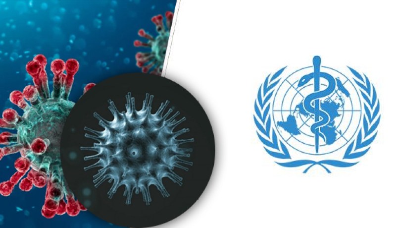 منظمة الصحة العالمية..أوروبا تتعافى تدريجيا من كورونا
