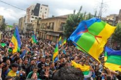 “رشاد” و”الماك”.. هؤلاء أعداء الحياة!