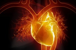 اعتماد تقنية غلق فتحة بالقلب بدون جراحة لأول مرة في مستشفى وهران