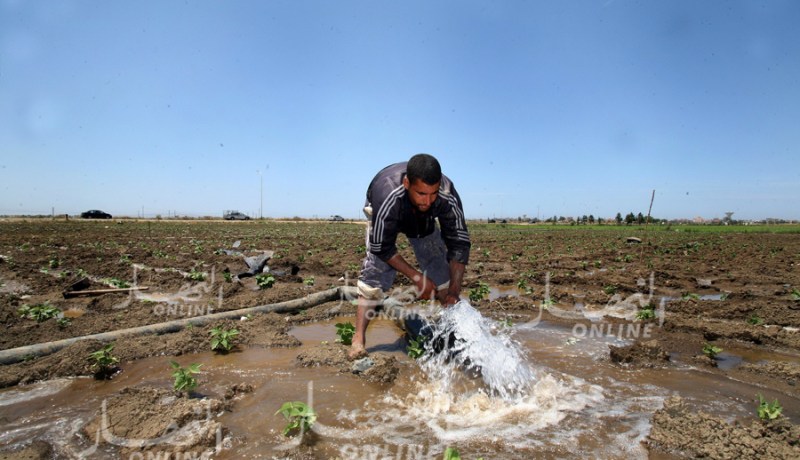 70 بالمئة من المياه يستهلكها القطاع الفلاحي بالجزائر