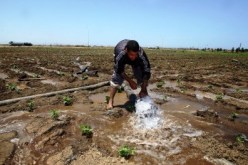 ثلاجات.. مكيفات هوائية وكراسي مقابل منح صفقات بالملايير