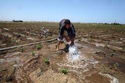 مياه البحر لسقي الأراضي الفلاحية