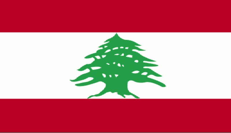 لبنان حريص على التوصل إلى حل سياسي للأزمة السورية