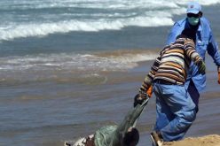 هلاك 10 أشخاص جراء غرق قاربهم قبالة جزيرة يونانية