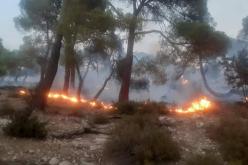 تبسة: تواصل عملية إخماد الحريق بجبل بوغافر