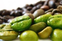 قرار وزاري يحدد عيوب القهوة الخضراء والمحمصة ومقياس حسابها