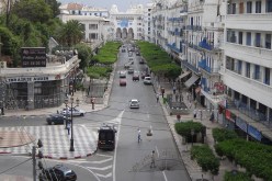 فيديو.. عمارات العاصمة تلبس حلة جديدة وزوخ يرفع التحدي