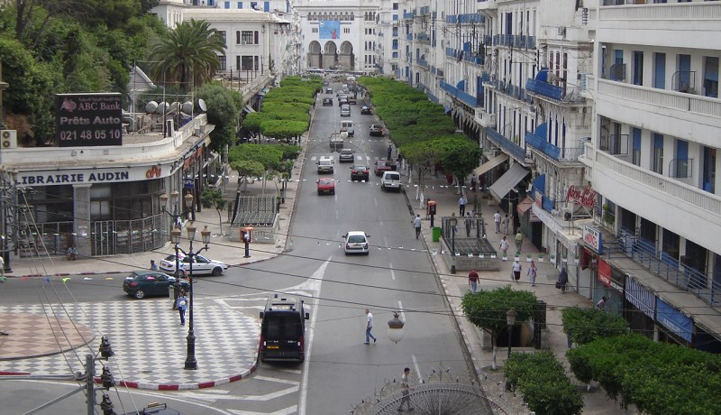 فيديو.. عمارات العاصمة تلبس حلة جديدة وزوخ يرفع التحدي