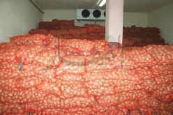 سلال يأمر IGF بالتحقيق حول شركة برودا