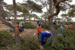 بالصور… حملة ذات منفعة عامة بوهران