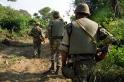 الجيش يحبط نقل شحنة من السلاحإلـــى معـــــاقل درودكــــال