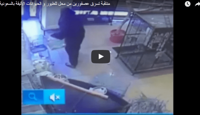 بالفيديو.. إمرأة تسرق عصفورين من محل