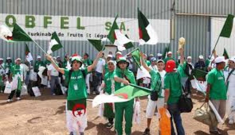 2300 تأشيرة للأنصار وسفير البرازيل يطمئنهم من حمى الصفراء والملاريا