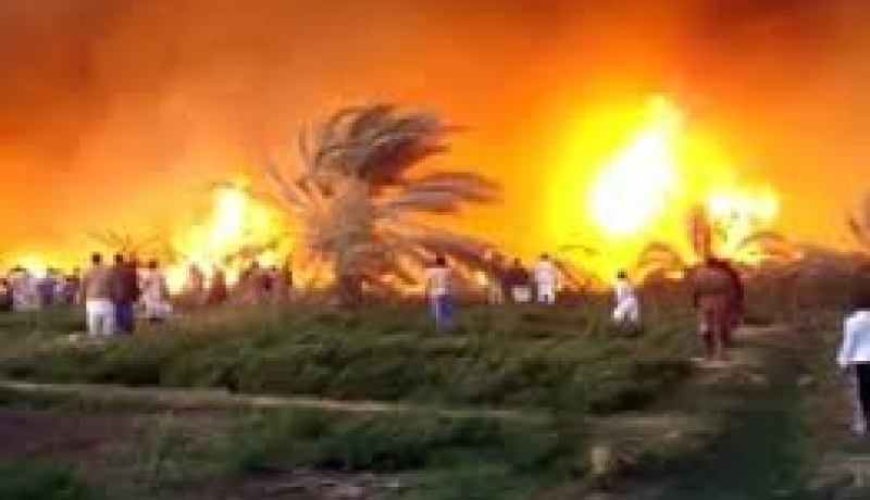 حريق مهول يلتهم 1500 نخلة في بني عباس