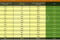 هذا هو نصيب الفرد الجزائري من الناتج الداخلي الإجمالي لبلده