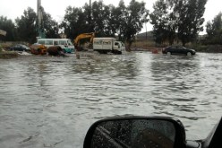 تساقط أمطار على شكل زخات رعدية على عدة ولايات من الوطن