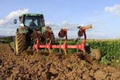 مدير الديوان المهني للحبوب: شرعنا في توزيع البذور المعدلة تحضيرا لحملة البذر