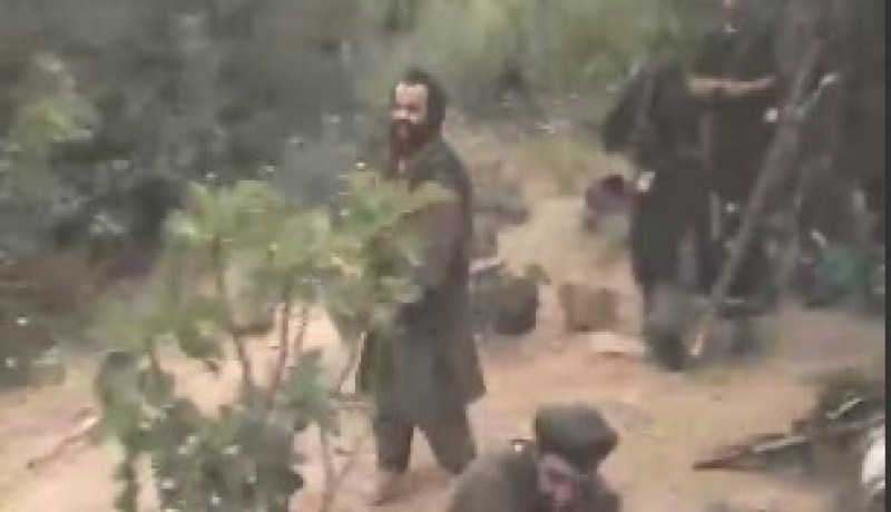 الأمراض تفتك بما تبقى من إرهابيين في باتنة