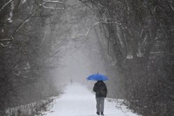 انقطاع الكهرباء عن 200 ألف منزل بسبب العاصفة في فرنسا