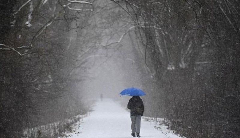 انقطاع الكهرباء عن 200 ألف منزل بسبب العاصفة في فرنسا