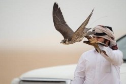 الإفراج عن الصيادين القطريين في العراق